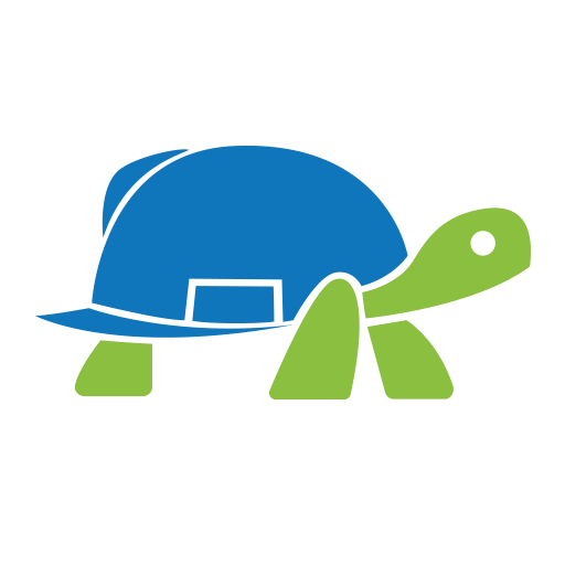 tortue